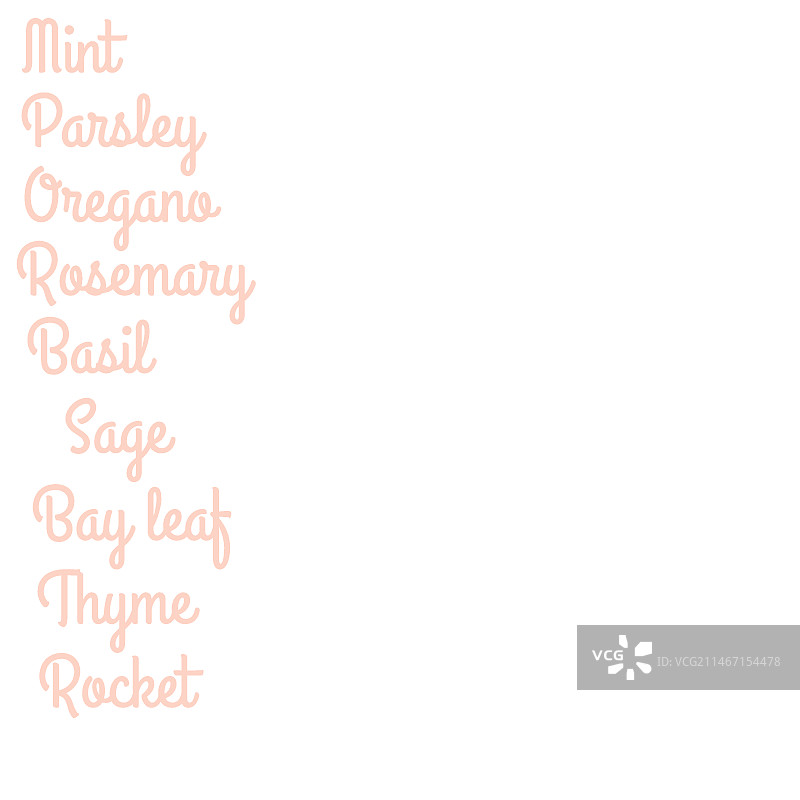 芳香草本植物合集图片素材