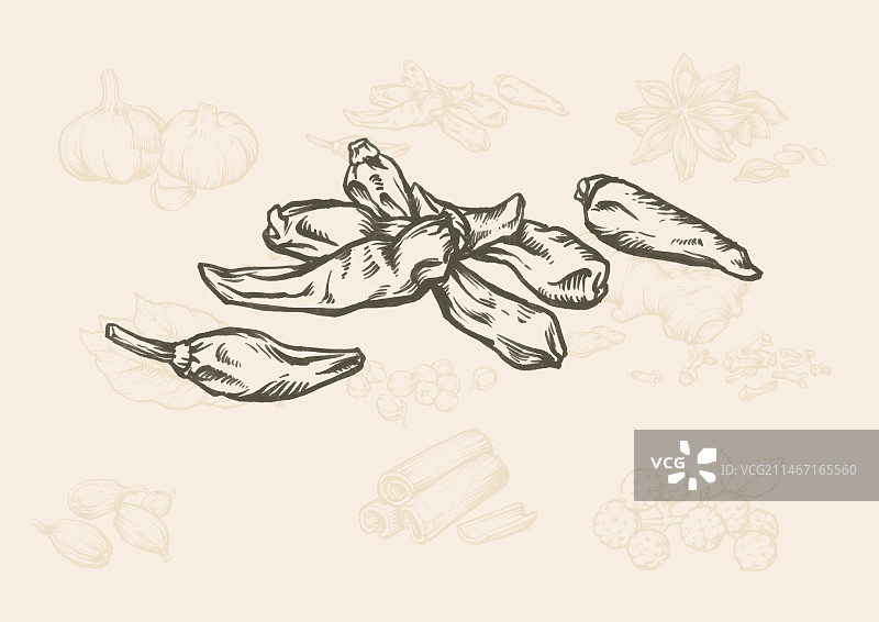 香料版画风格系列插画之干辣椒图片素材