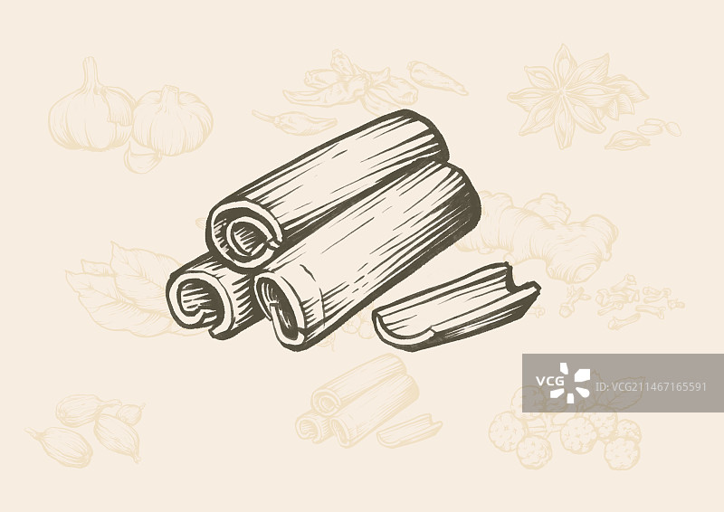 香料版画风格系列插画之桂皮图片素材