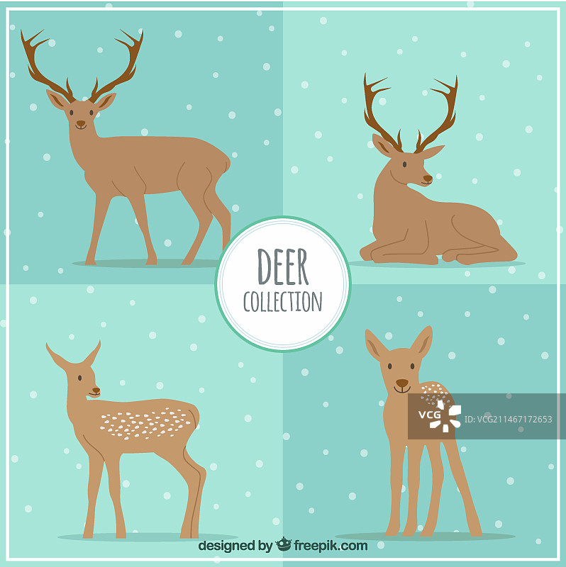 鹿合集图片素材