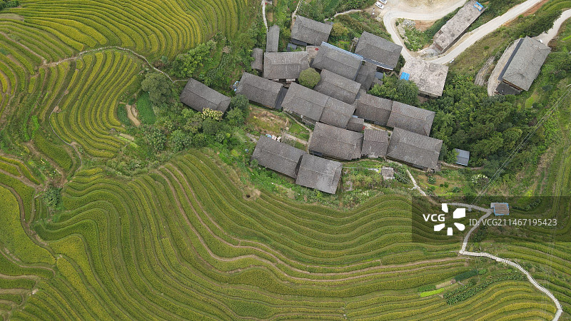 航拍梯田纹理与线条图片素材