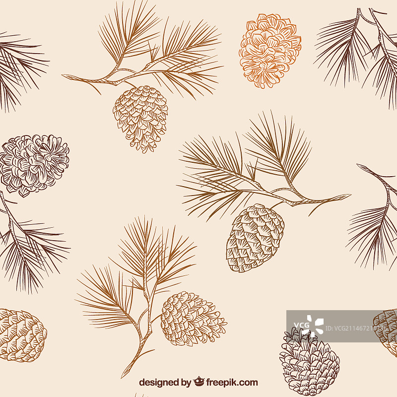 手绘松果图案图片素材