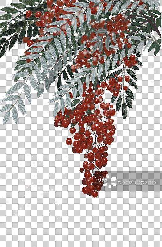 节气——大雪图片素材