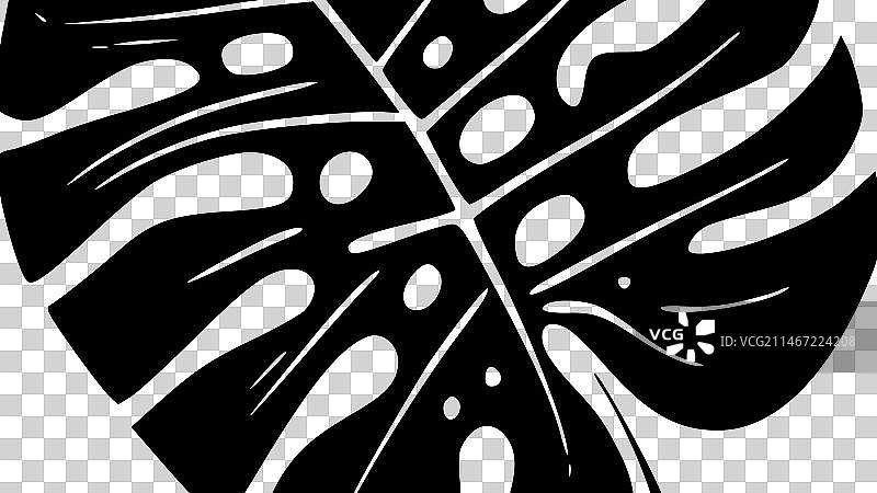 极简风格的蓬莱蕉剪影图片素材