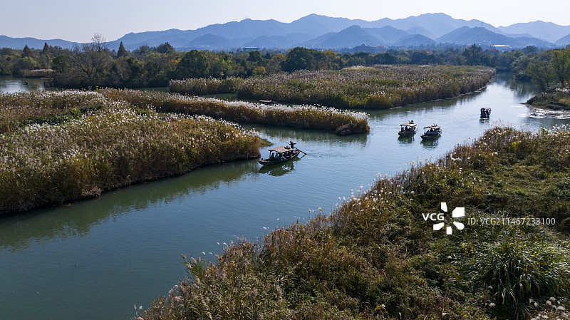 摇橹船在波光粼粼的杭州西溪湿地前行图片素材