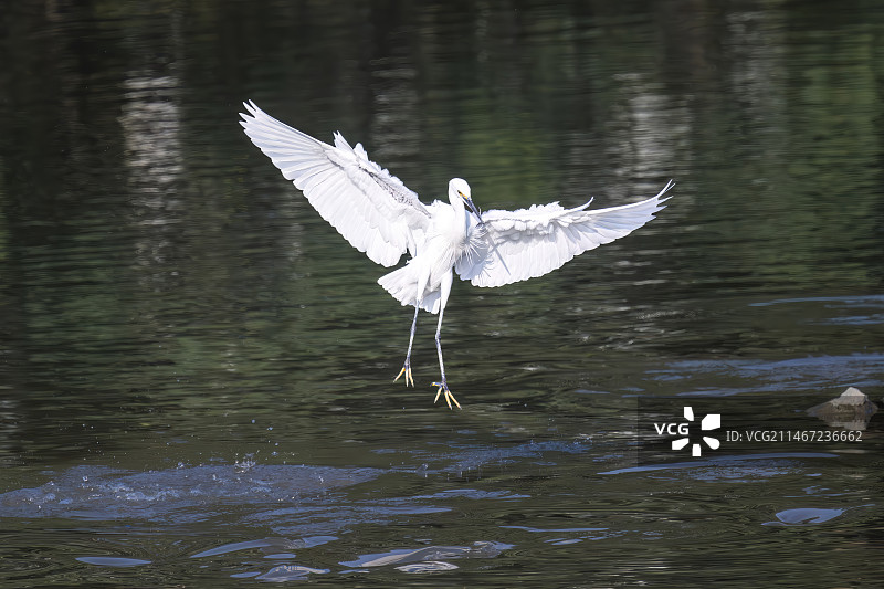 谨慎小心图片素材