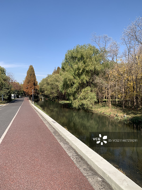 公园步道图片素材