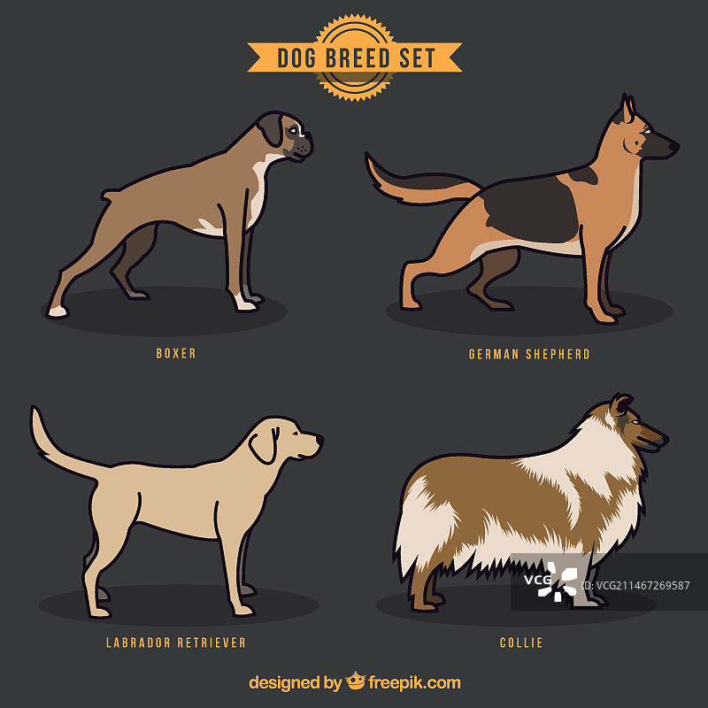 手绘犬种图案图片素材