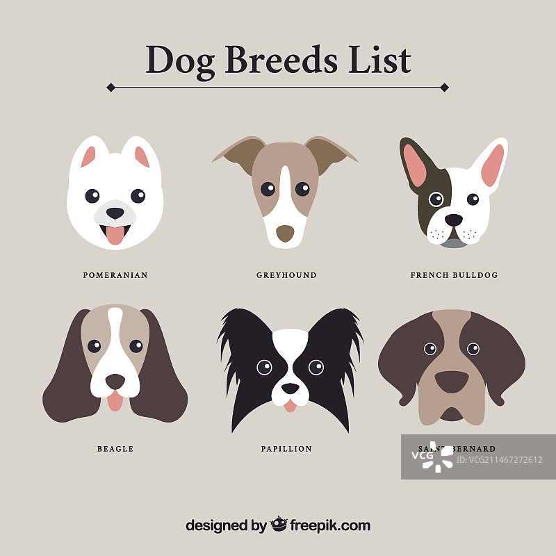 犬种列表图片素材