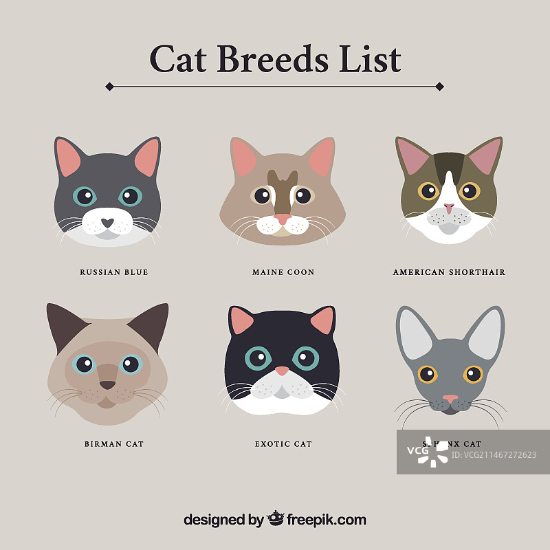 猫品种头像图片素材