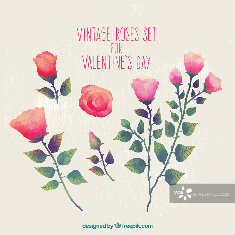 水彩玫瑰合集图片素材