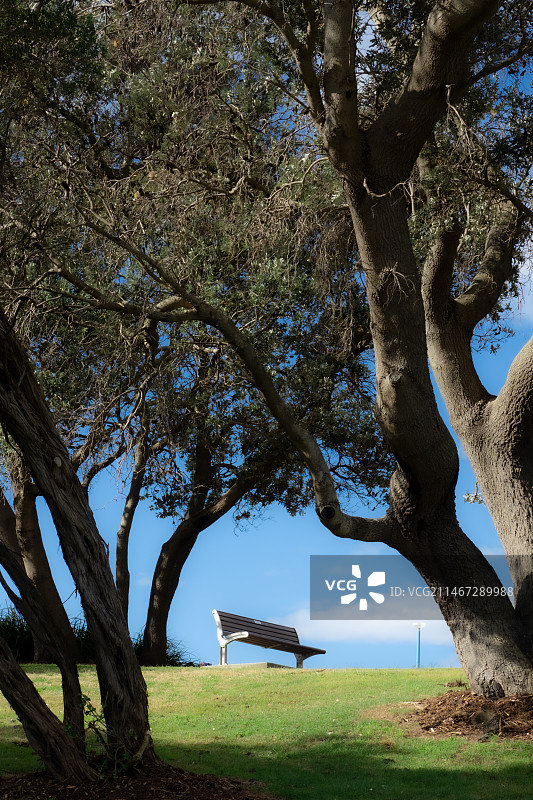 悉尼coogee walk图片素材