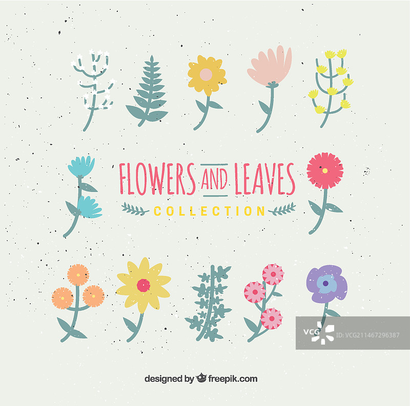 鲜花和树叶合集图片素材