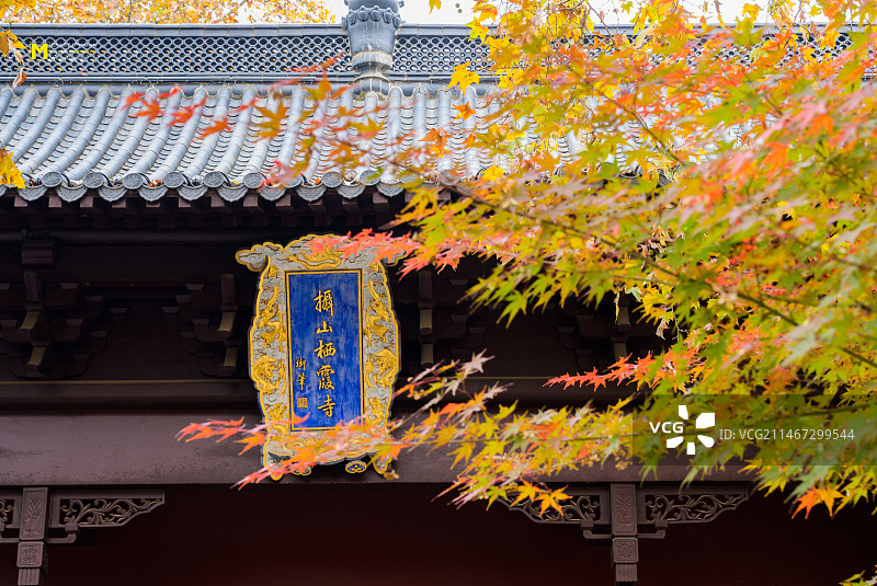 栖霞寺之秋图片素材