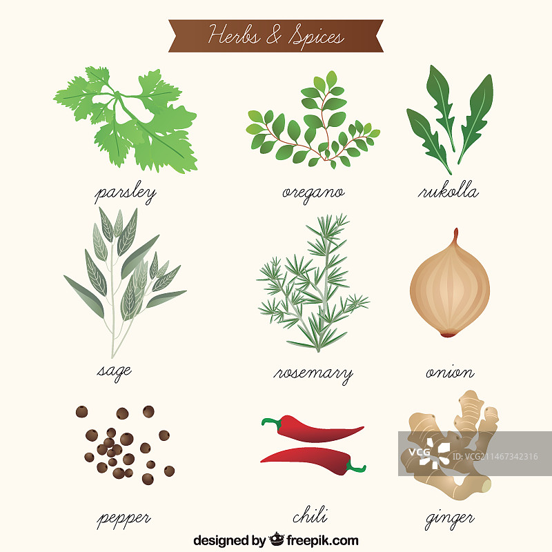 手绘芳香草药和香料合集图片素材