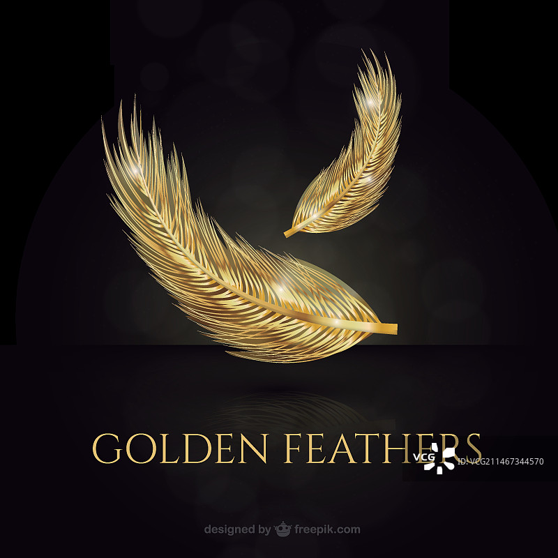 金色明亮的羽毛图片素材