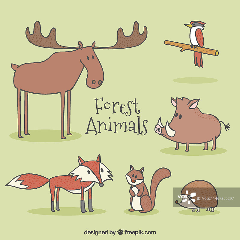 可爱的森林动物角色图片素材