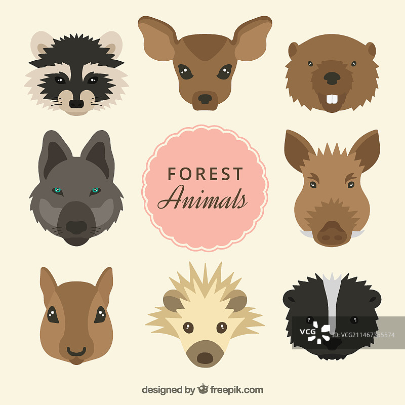 手绘野生动物头像图片素材