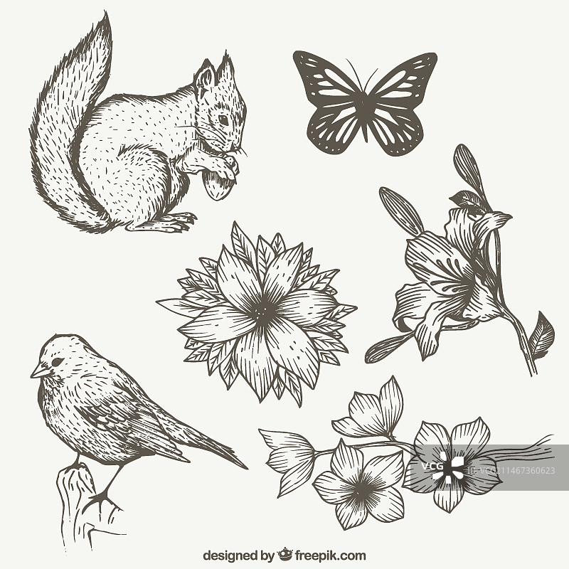 手绘动物自然合集图片素材