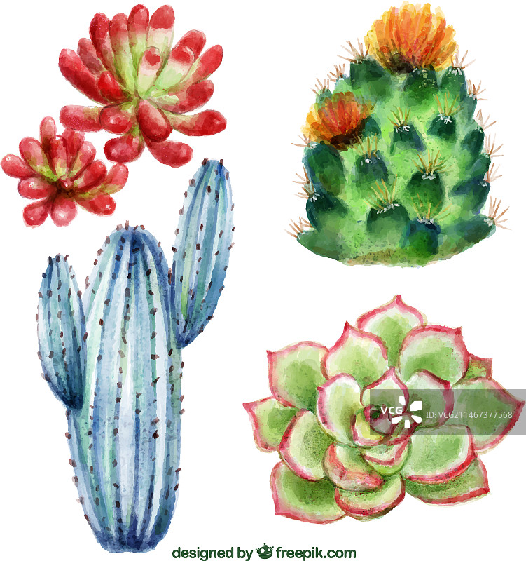 手绘仙人掌背景图片素材