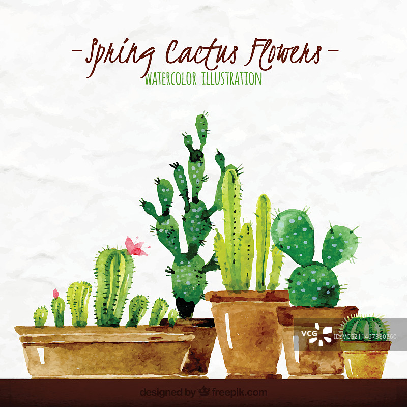 水彩风春天仙人掌插画图片素材