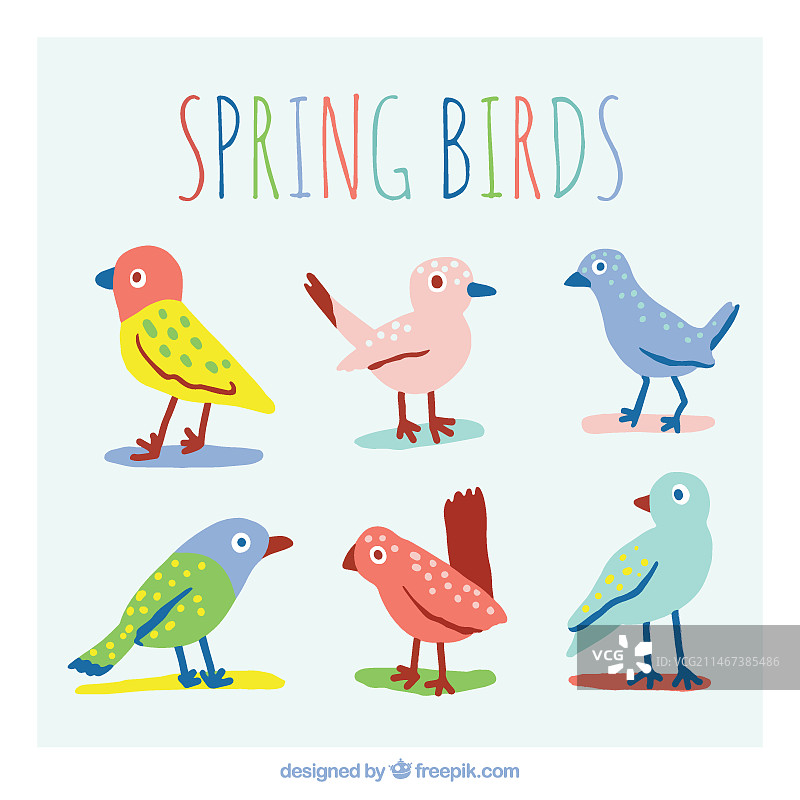 彩色春季鸟类合集图片素材