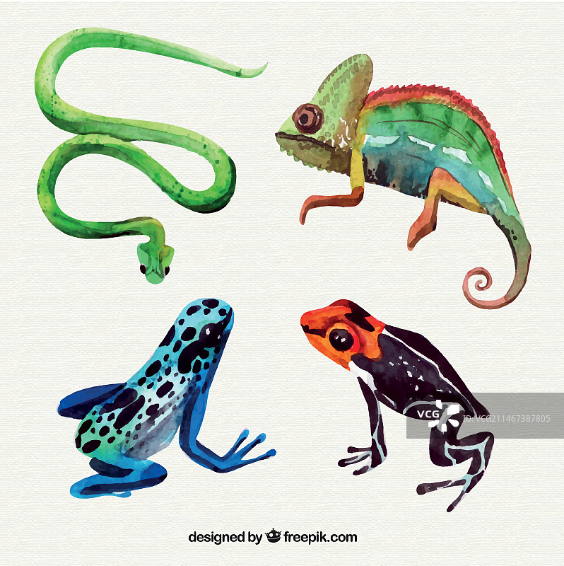 水彩爬行动物素材包图片素材