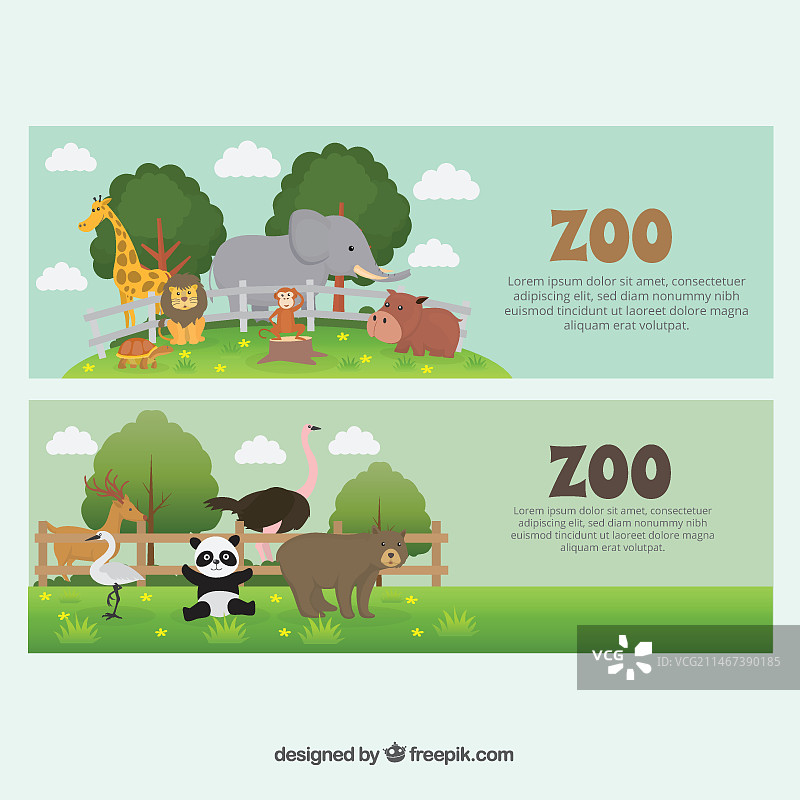 动物园里的野生动物banner图片素材