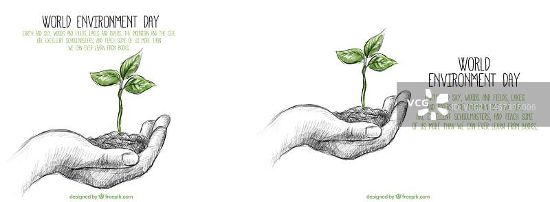 植物背景上的逼真手绘草图图片素材