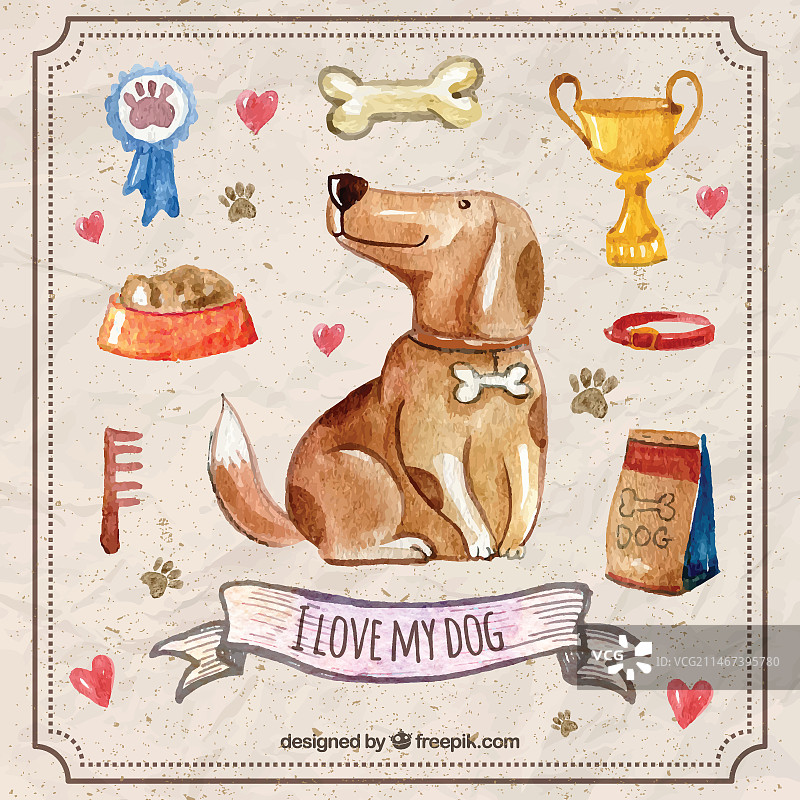 水彩宠物狗与宠物配件图片素材