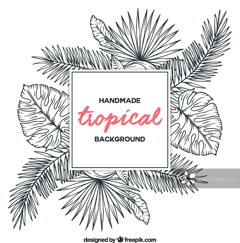 热带植物背景草图图片素材