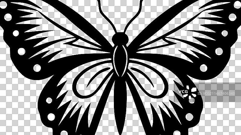 蝴蝶-高品质的标志-理想的t恤图片素材