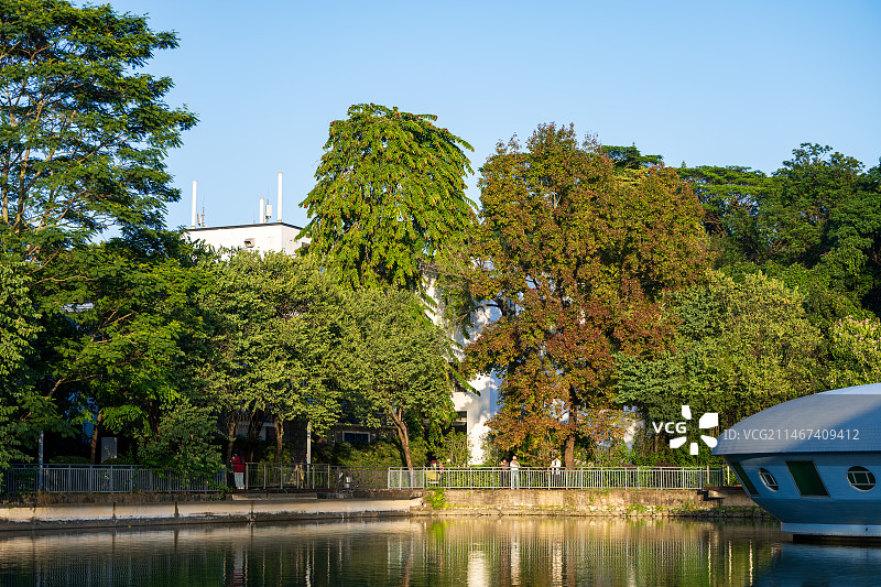 广州华南植物园园内水下植物水生物区图片素材