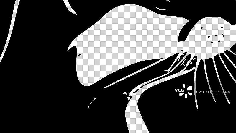 水獭极简扁平风格标志图片素材