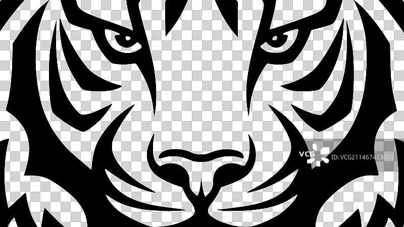 老虎——黑白相间图片素材