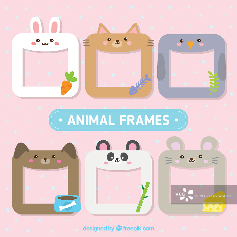 六种不同的野花图片素材