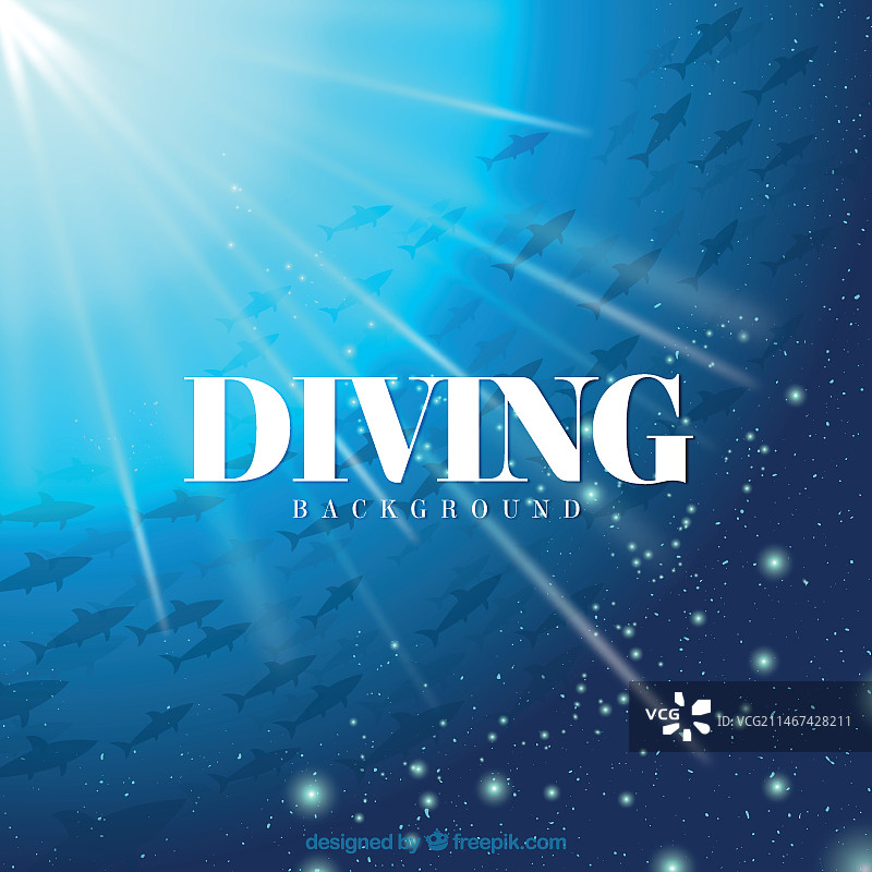 鱼群与闪光潜水背景图片素材