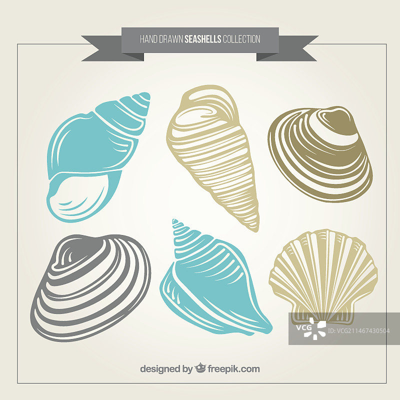 手绘贝壳素材包图片素材