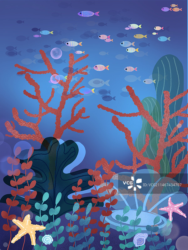 海底世界图片素材