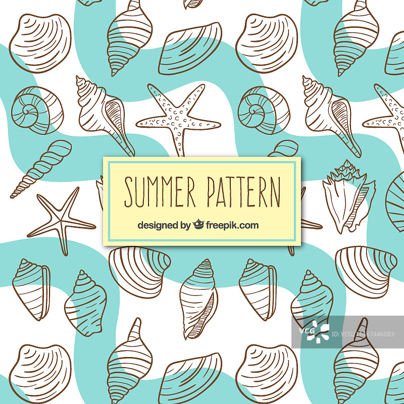 贝壳图案图片素材