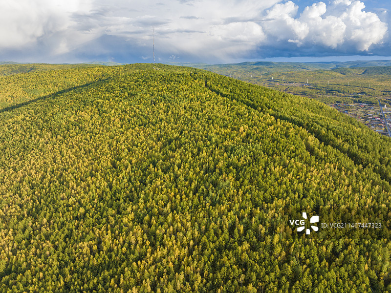 秋天的内蒙古呼伦贝尔地区根河莫尔道嘎森林湿地图片素材