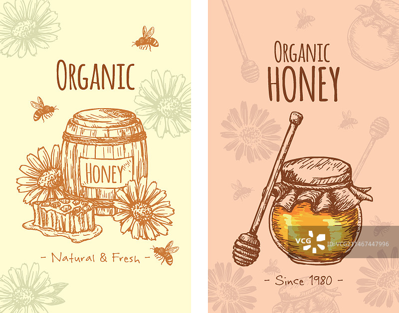 手绘水彩蜂蜜宣传册图片素材