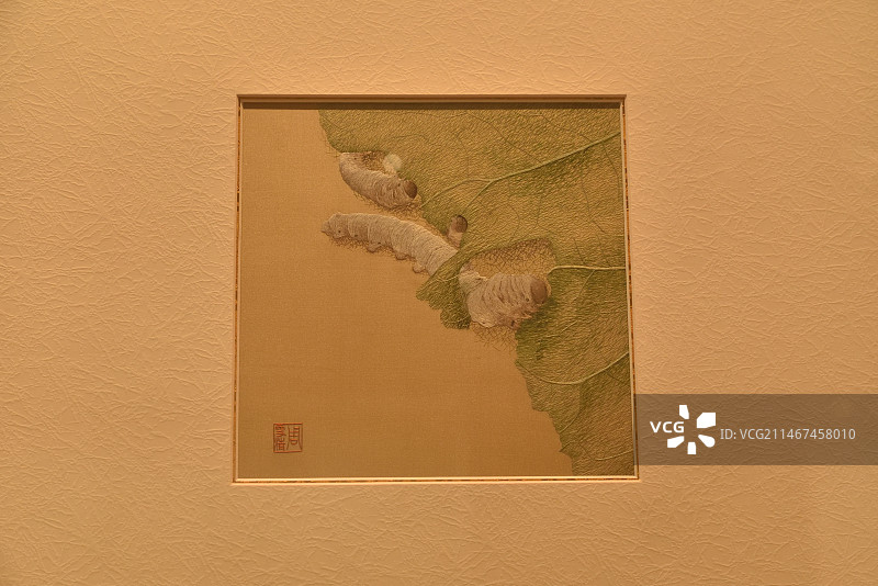 《生命 蚕》周雪清刺绣艺术展《丝中有真意》中山博物馆 ​图片素材