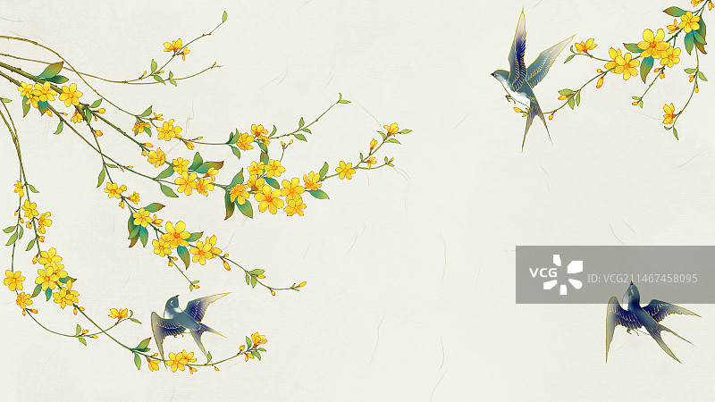 二十四节气花卉-迎春花图片素材