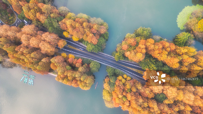 秋色杨公堤图片素材