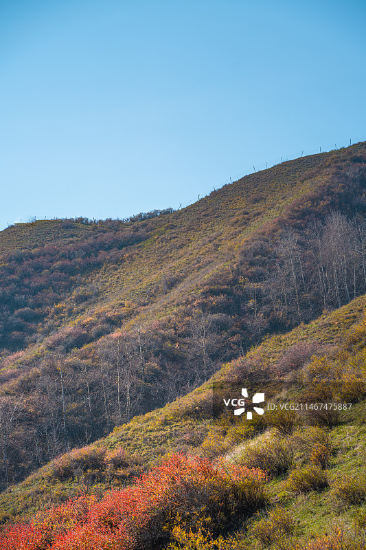雪山 天山森林公园  秋季 山谷 露营图片素材