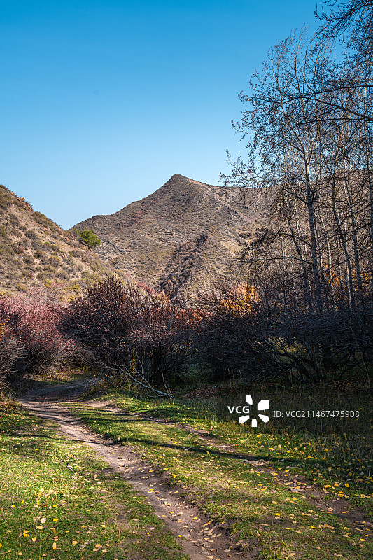 雪山 天山森林公园  秋季 山谷 露营图片素材