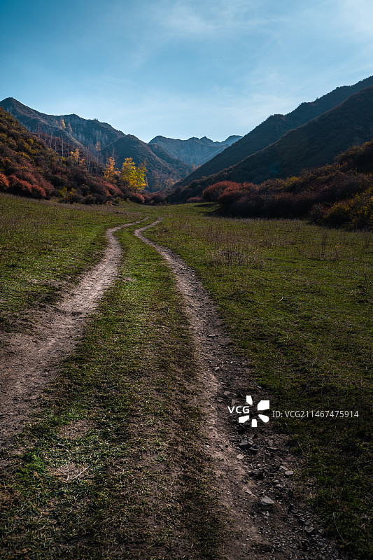 雪山 天山森林公园  秋季 山谷 露营图片素材