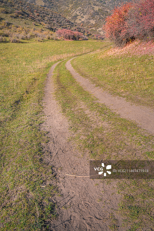 雪山 天山森林公园  秋季 山谷 露营图片素材