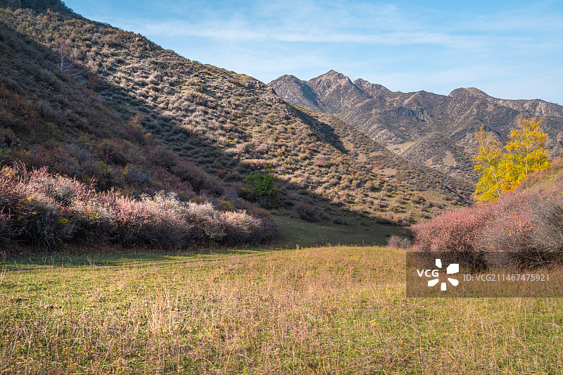 雪山 天山森林公园  秋季 山谷 露营图片素材